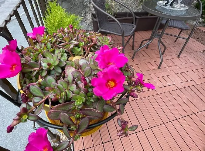 Casa Berni - - Di Apartament